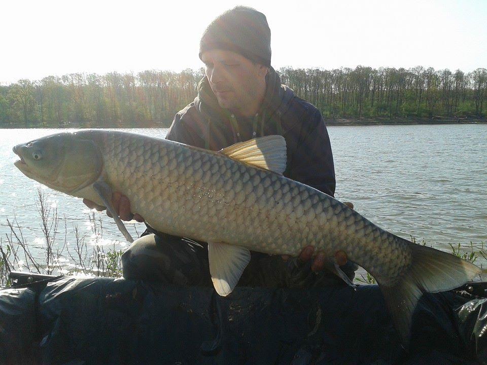 2015 - 111404229520842348243963688219667576400597n.jpg